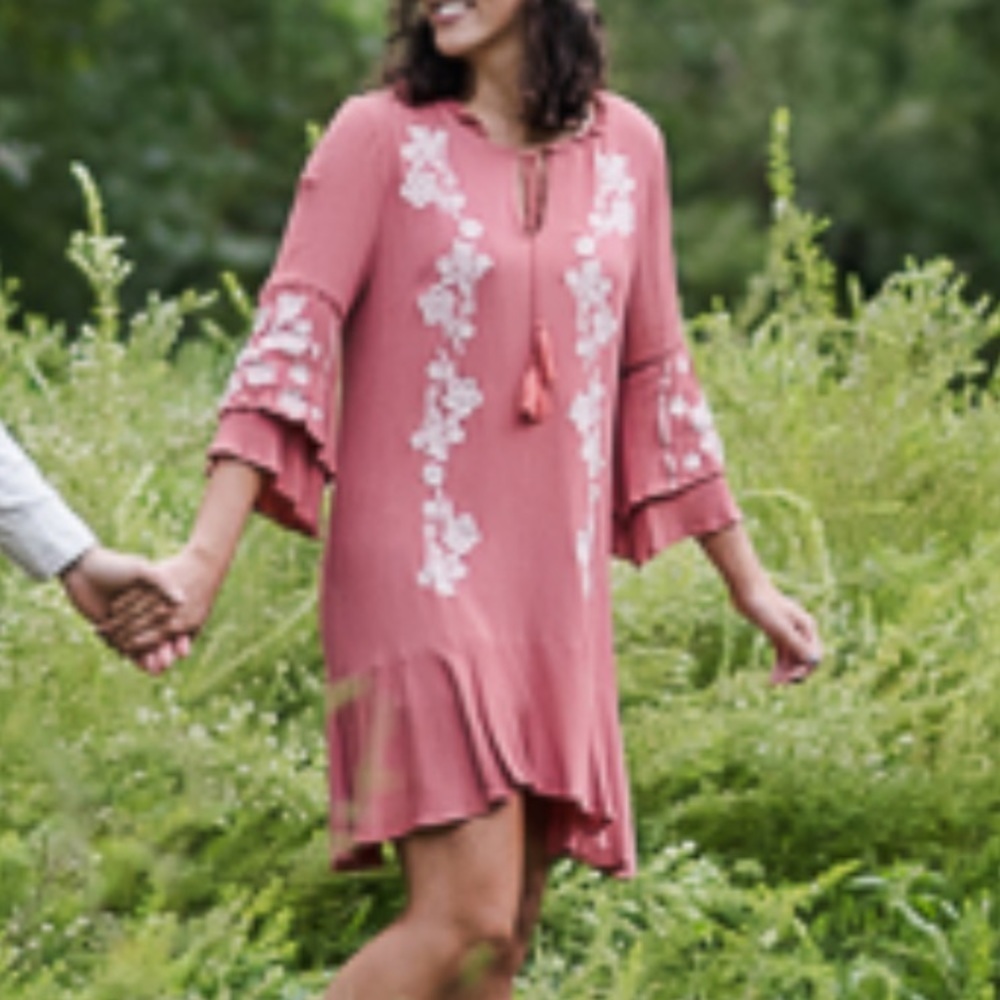 Francesca’s Blue Rain NWT Rose Lorette Floral Embroidered Mini Dress XS
